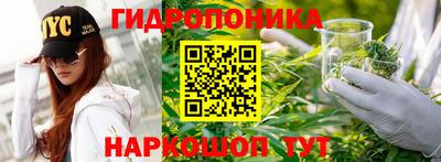 крисы Рыбинск