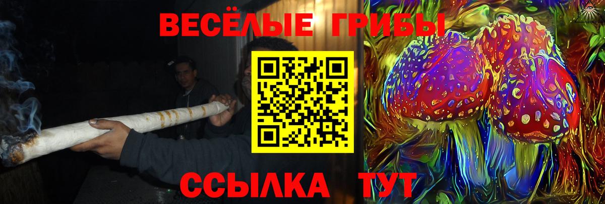 Сосновый Бор  Галлюциногенные грибы ЛСД  Псилоцибиновые грибы MAGIC MUSHROOMS  Вход с VPN 
