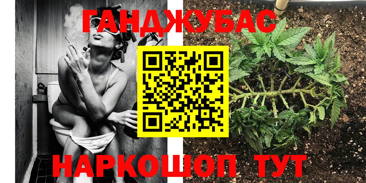 Шишки марихуана сатива Сосновый Бор